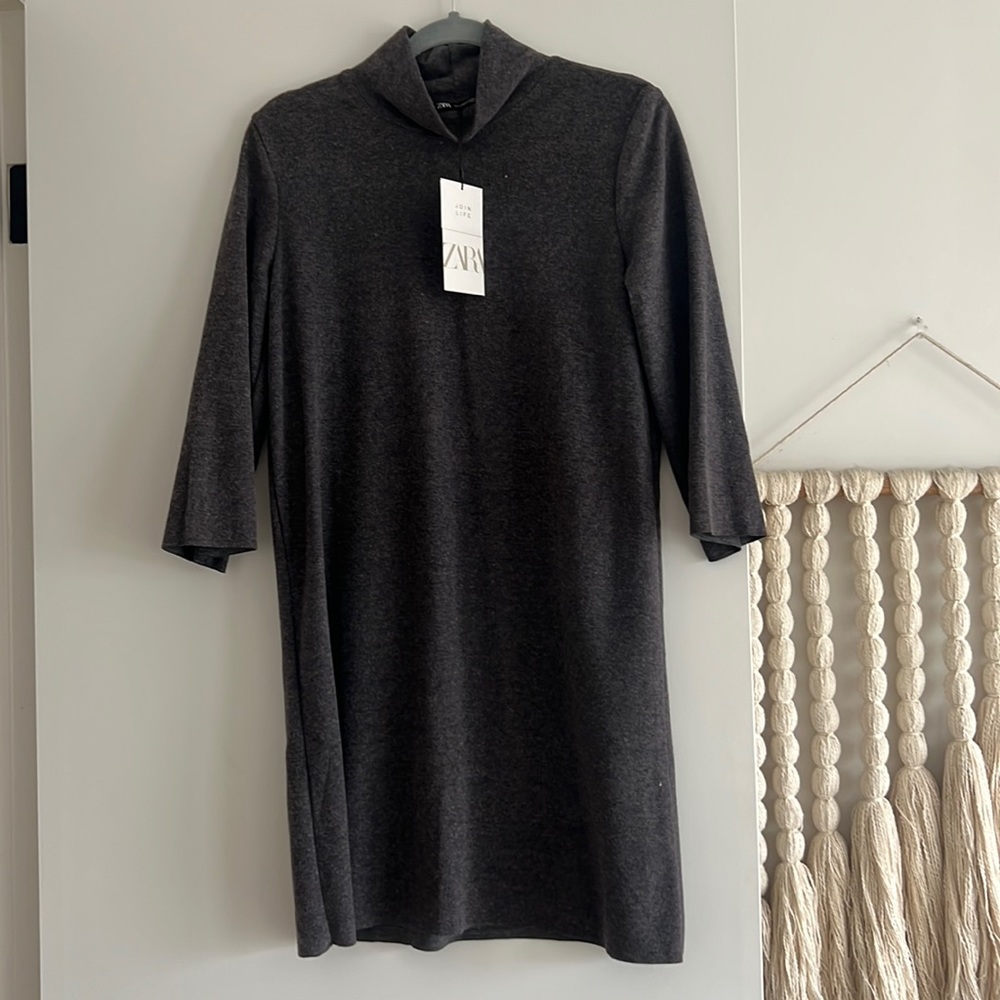 Zara Turtle Neck Dress